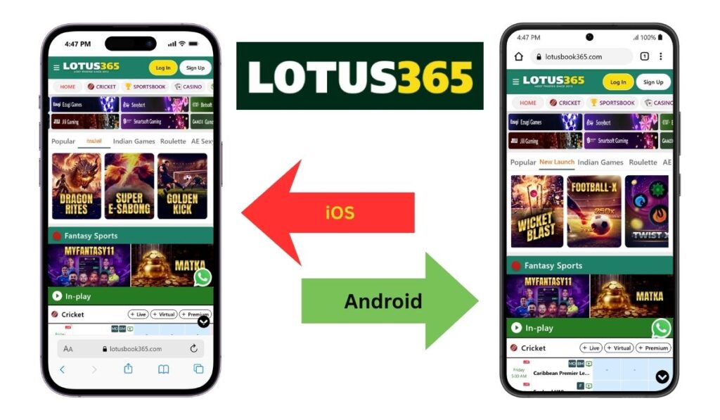 Lotus365 App Android And iOS